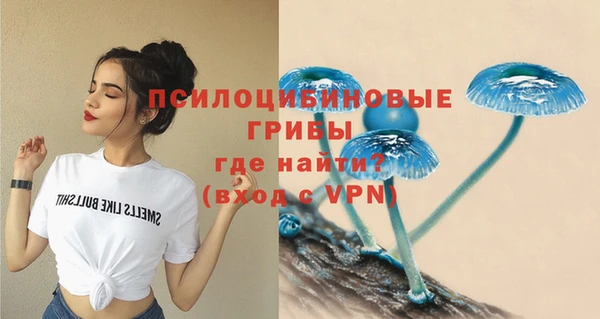 твердый Новозыбков