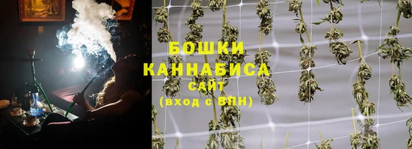 гашик Новодвинск