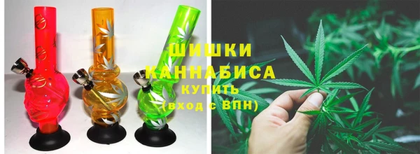 гашик Новодвинск