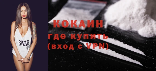 гашик Новодвинск