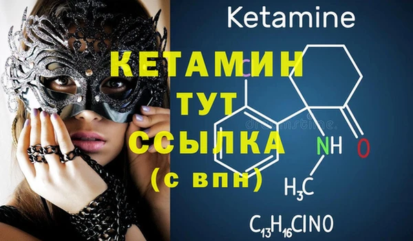 твердый Новозыбков