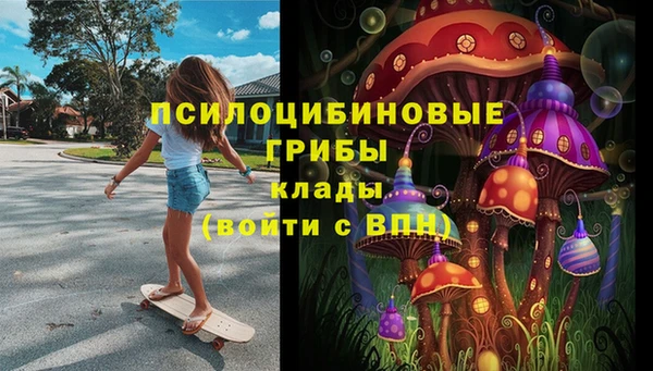 гашик Новодвинск