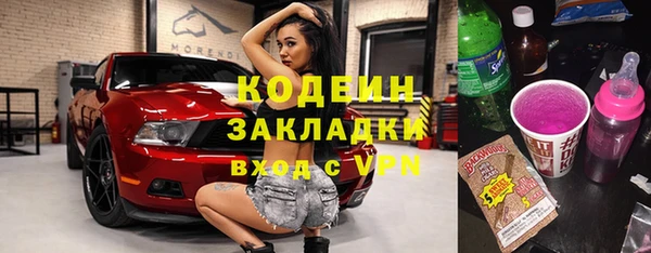 твердый Новозыбков