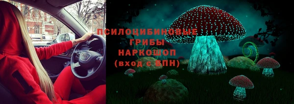 гашик Новодвинск